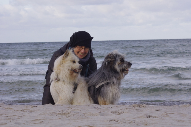 Hunde mit Frauchen am Strand